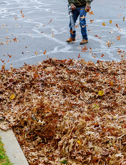 Parking Lot Sweeping